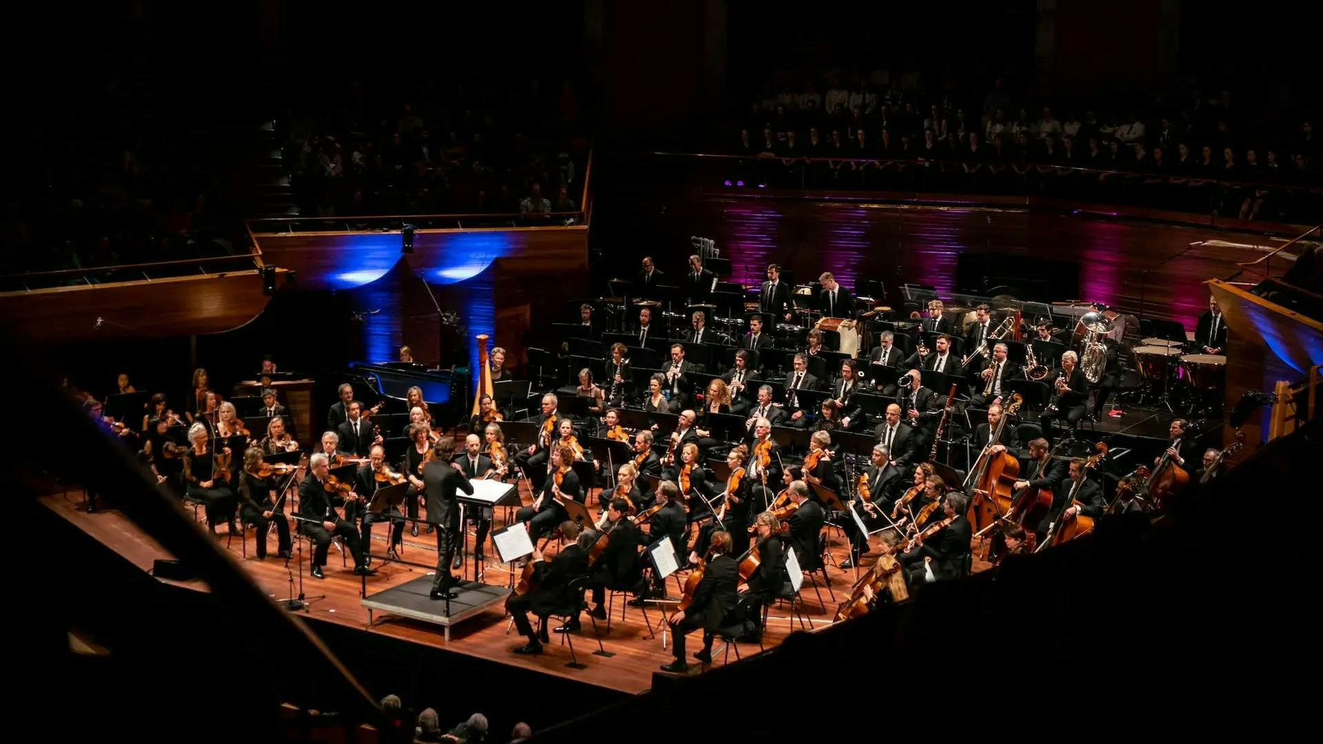 new zealand symphony orchestra